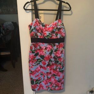 Milly floral hourglass pinup dress size 6
